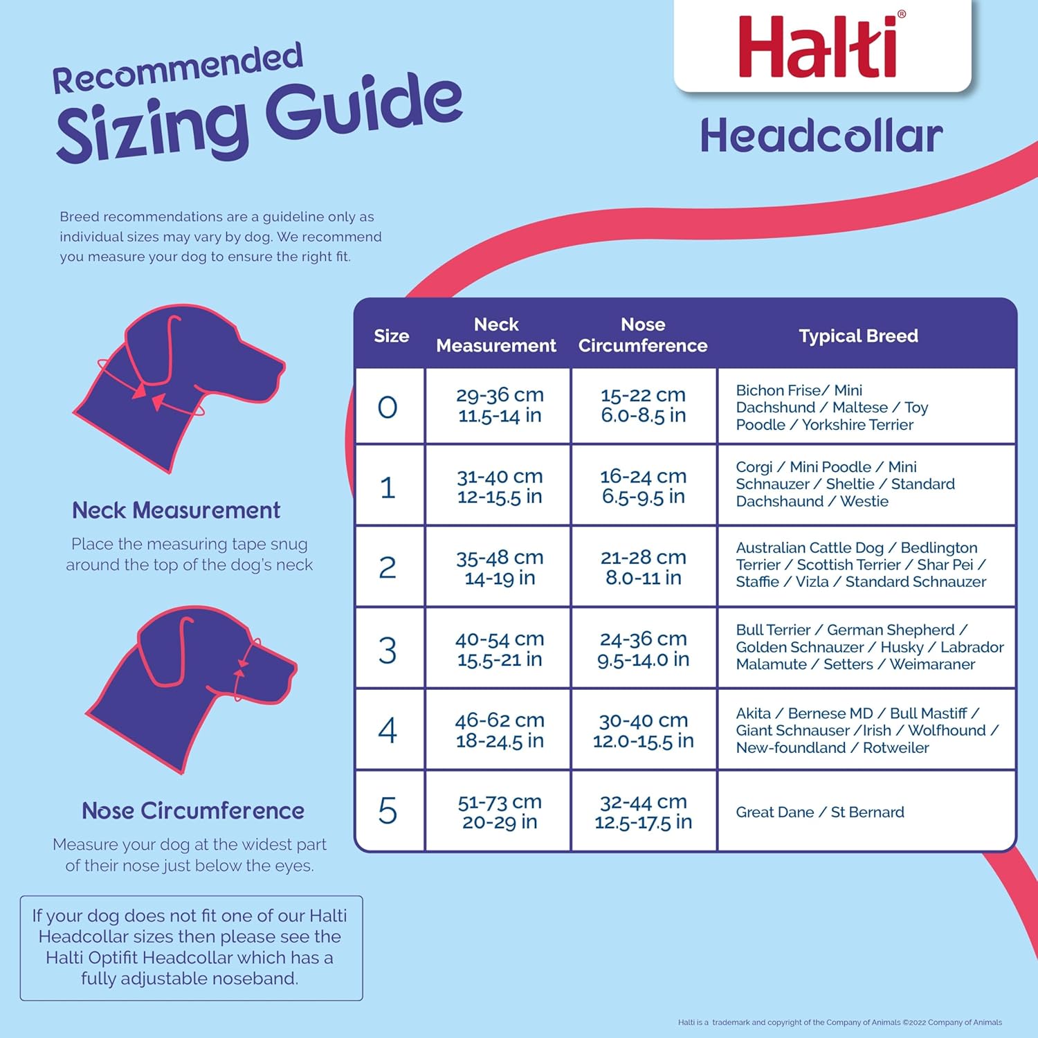 HALTI Headcollar, UK Bestselling Harness to Stop | ObaPet