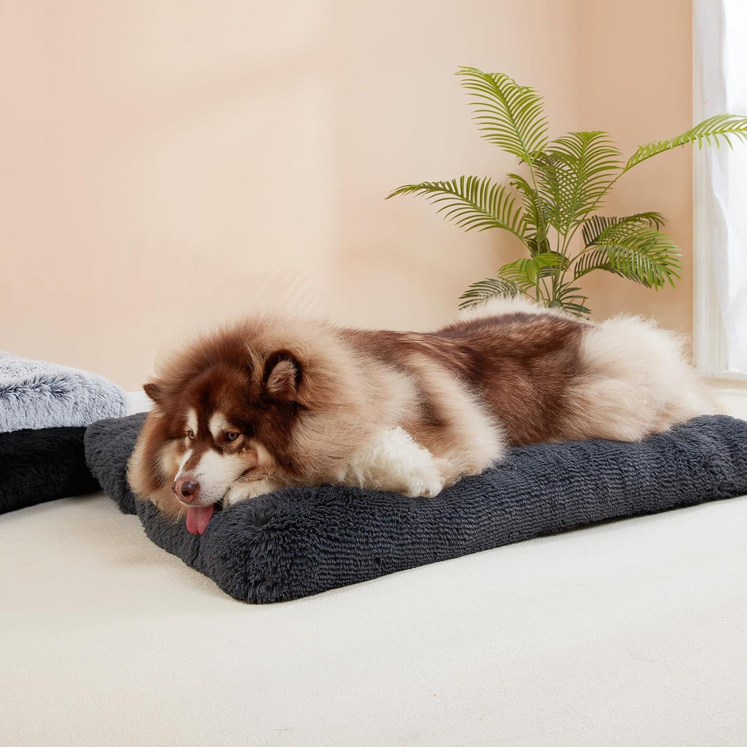 EHEYCIGA Calming Dog Bed Medium, Fluffy Anti | ObaPet