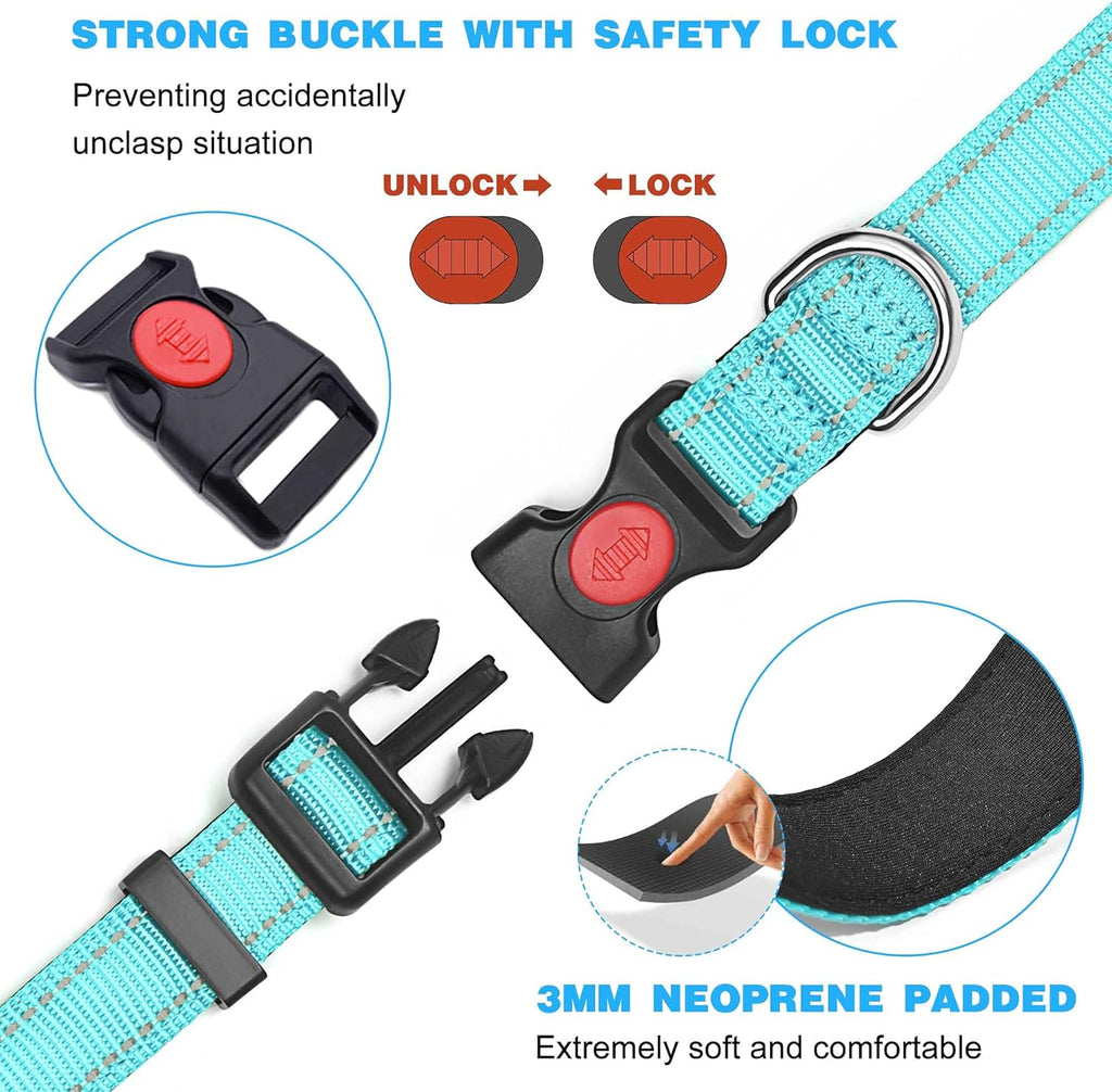 haapaw Reflective Dog Collar Padded with Soft | ObaPet