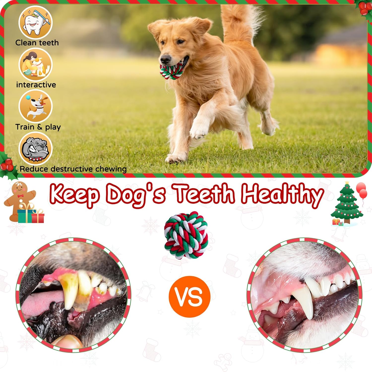Aitmexcn Dog Rope Toys for Large Medium Dog | ObaPet