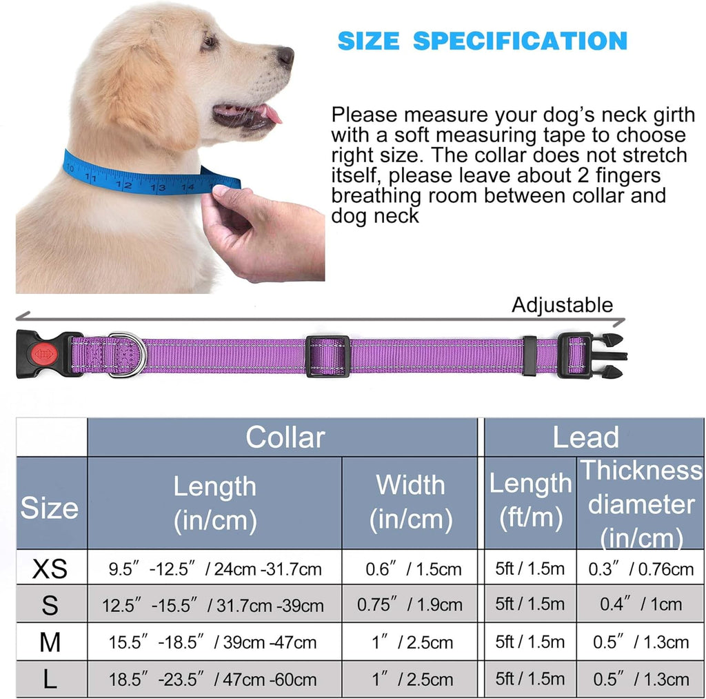 haapaw Reflective Dog Collar Padded with Soft | ObaPet