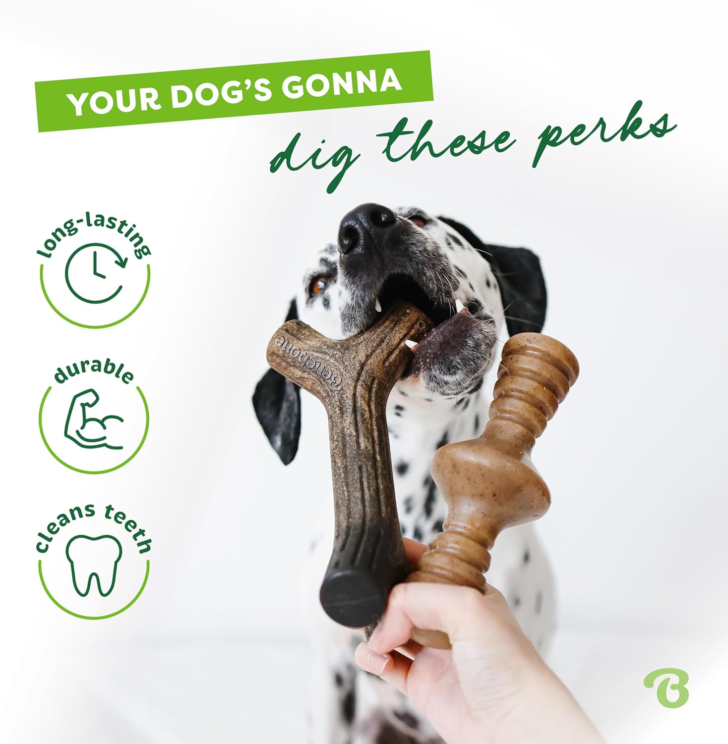 Benebone Durable Dog Chew Toy Box for Aggressive Chewers with Wishbone, Fishbone, Stick & Zaggler, Medium