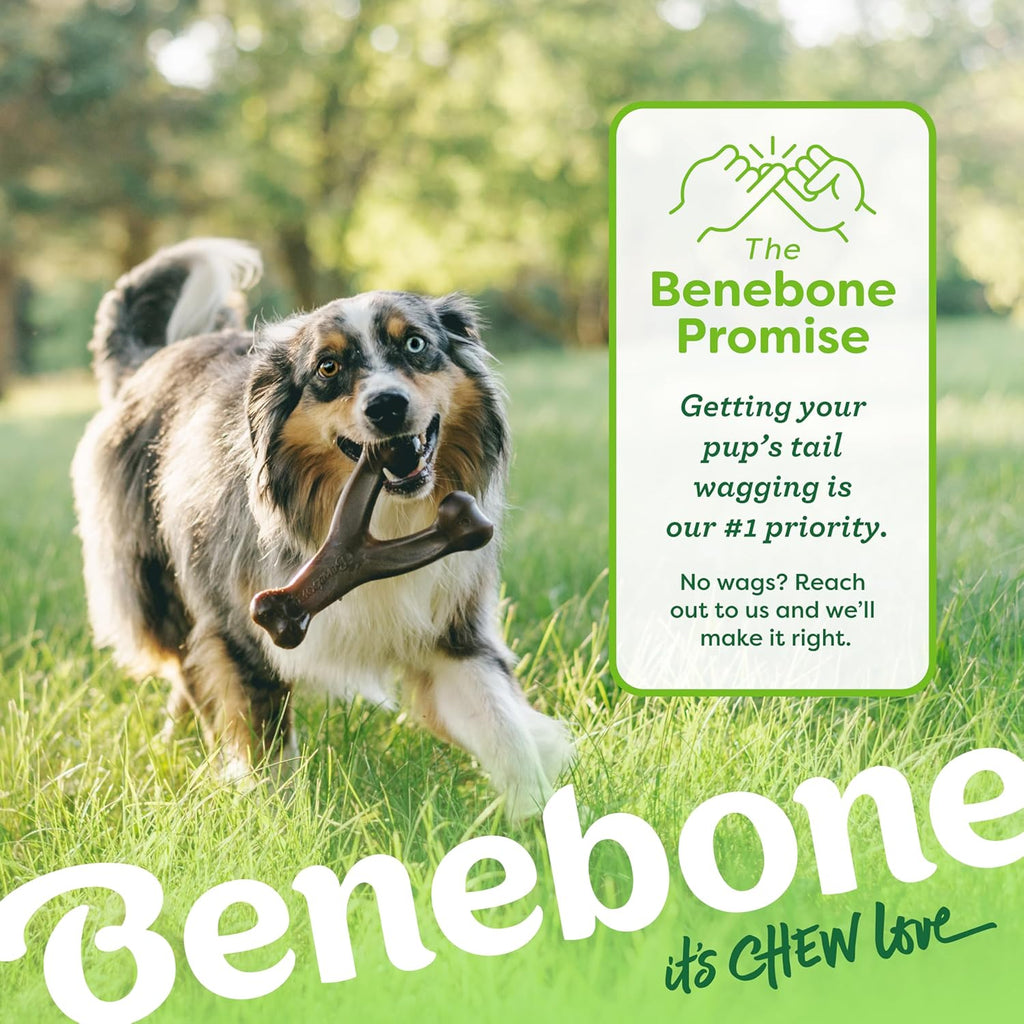 Benebone Durable Dog Chew Toy Box for Aggressive Chewers with Wishbone, Fishbone, Stick & Zaggler, Medium