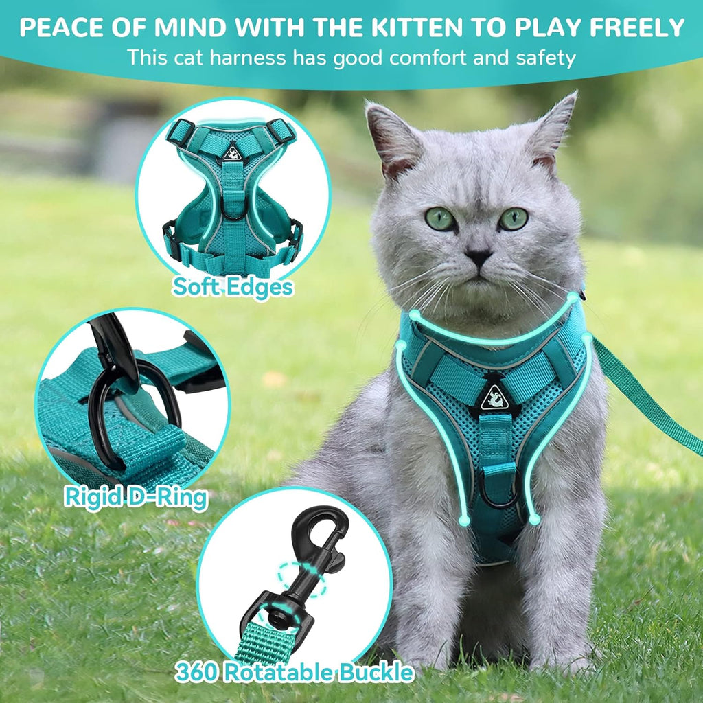 Cat Harness and Lead Set, Adjustable Kitten | ObaPet