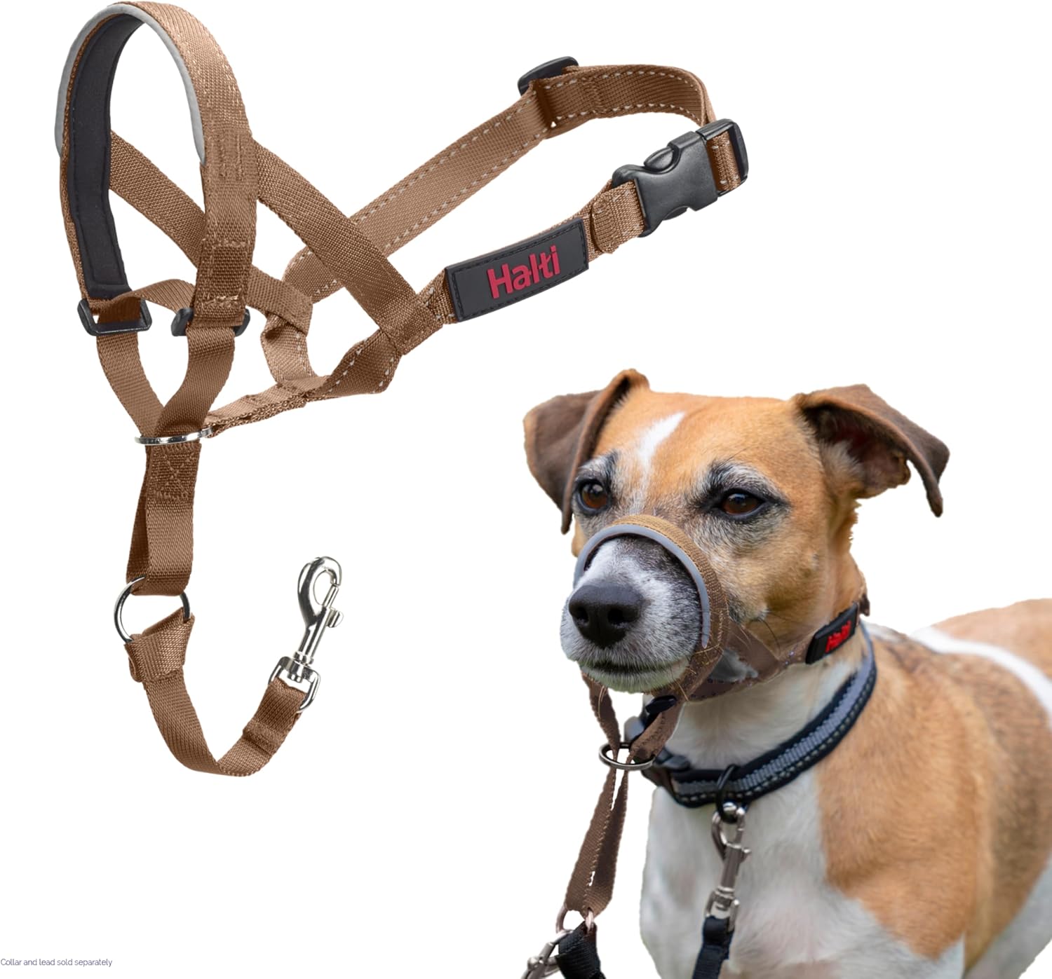 HALTI Headcollar, UK Bestselling Harness to Stop | ObaPet