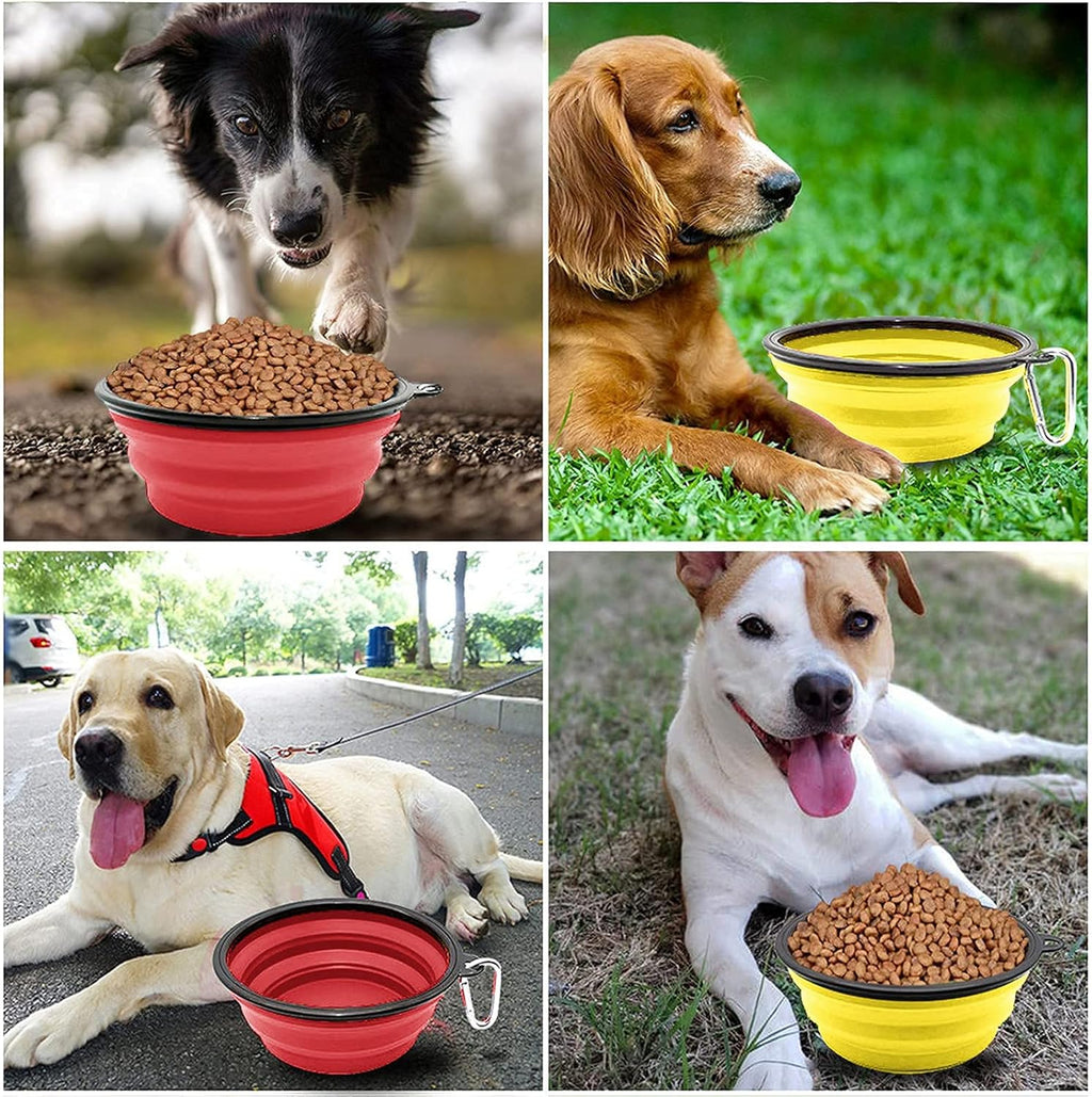 Collapsible Dog Bowl,Collapsible Dog Water Bowls | ObaPet