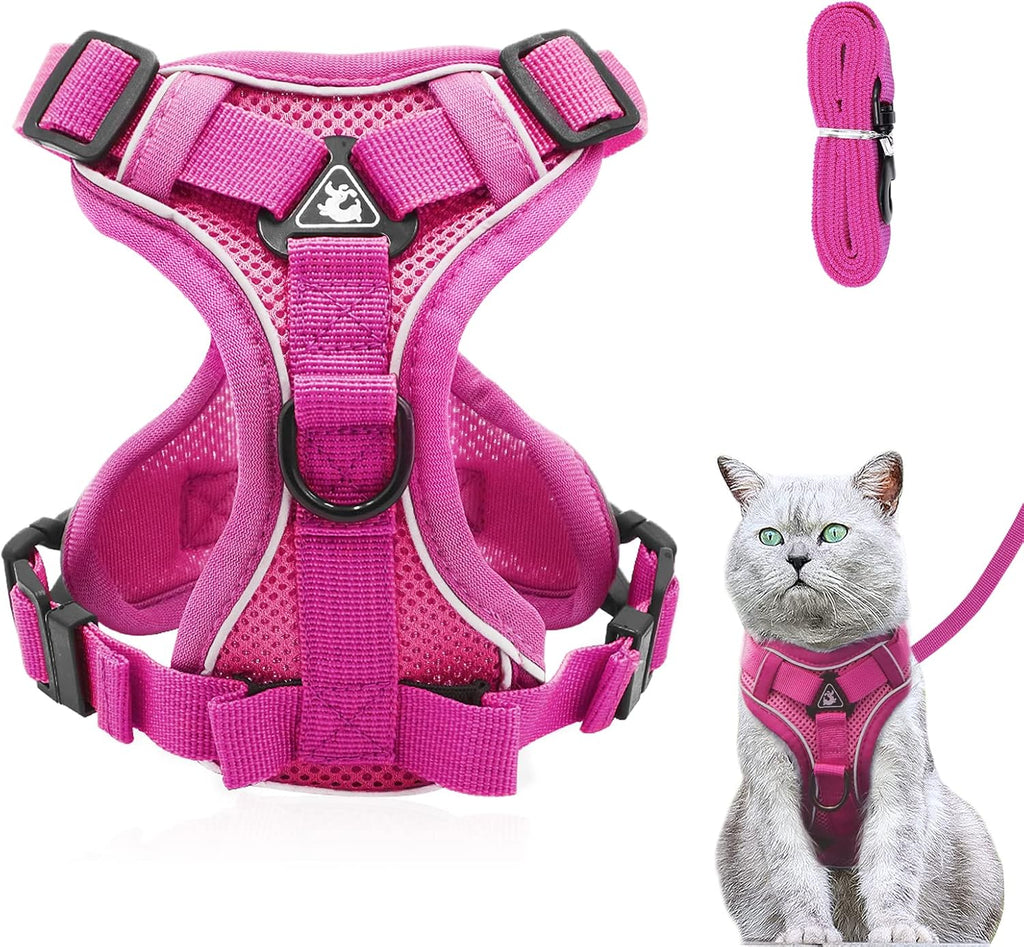 Cat Harness and Lead Set, Adjustable Kitten | ObaPet