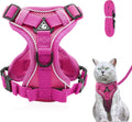 Cat Harness and Lead Set, Adjustable Kitten | ObaPet
