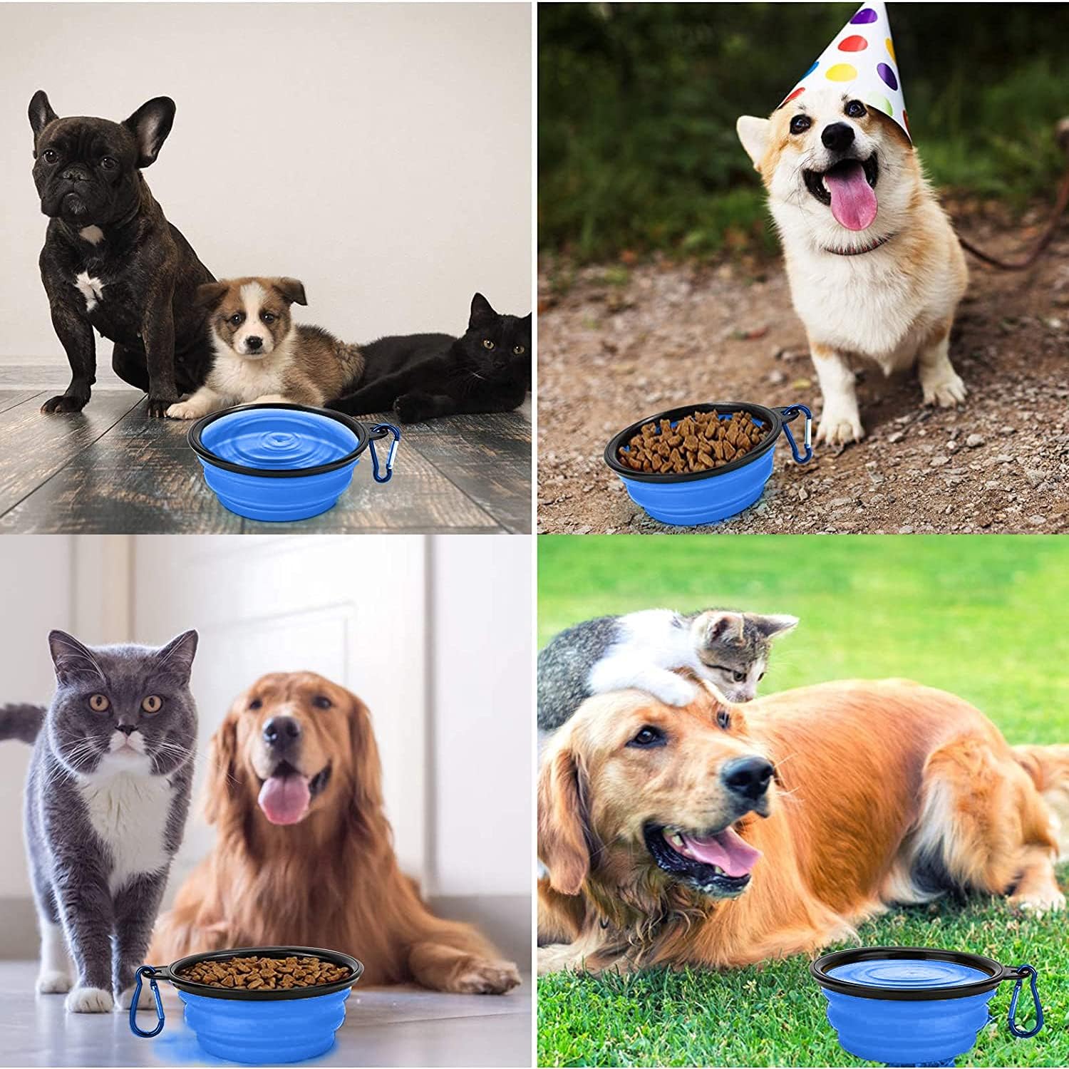Collapsible Dog Bowl,Collapsible Dog Water Bowls | ObaPet