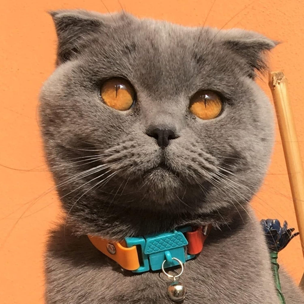 Kittyrama Cat Collar with Bell. As Seen in | ObaPet