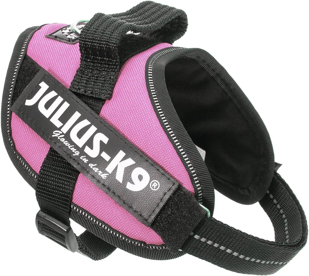Julius-K9, 16IDC-P-0, IDC Powerharness, dog | ObaPet