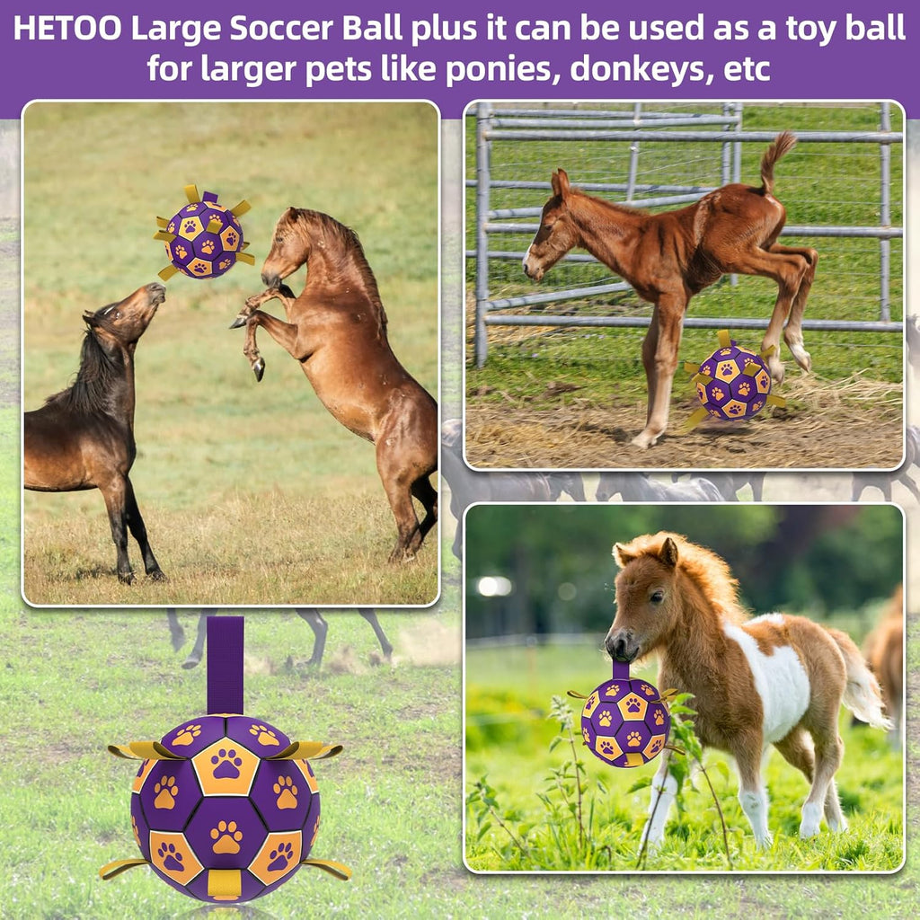 HETOO Interactive Dog Football Toys with Grab Tabs, Durable Dog Water Balls for Small Medium Breed, Indoor & Outdoor
