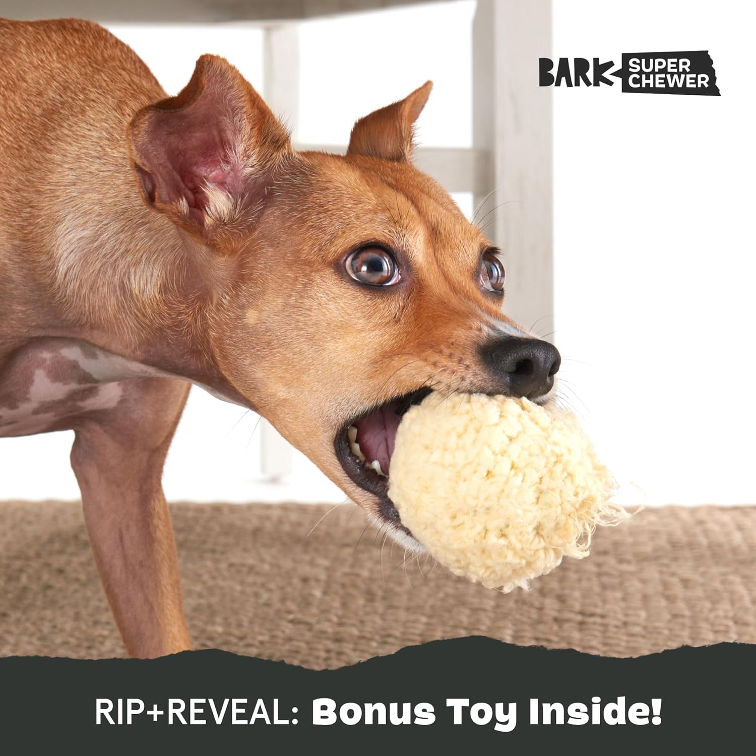 Barkbox Squeaky Dog Toys - Plush and Squeak Chew Toys | Puppy and Pet Toys for Large Dogs Pinata - Large