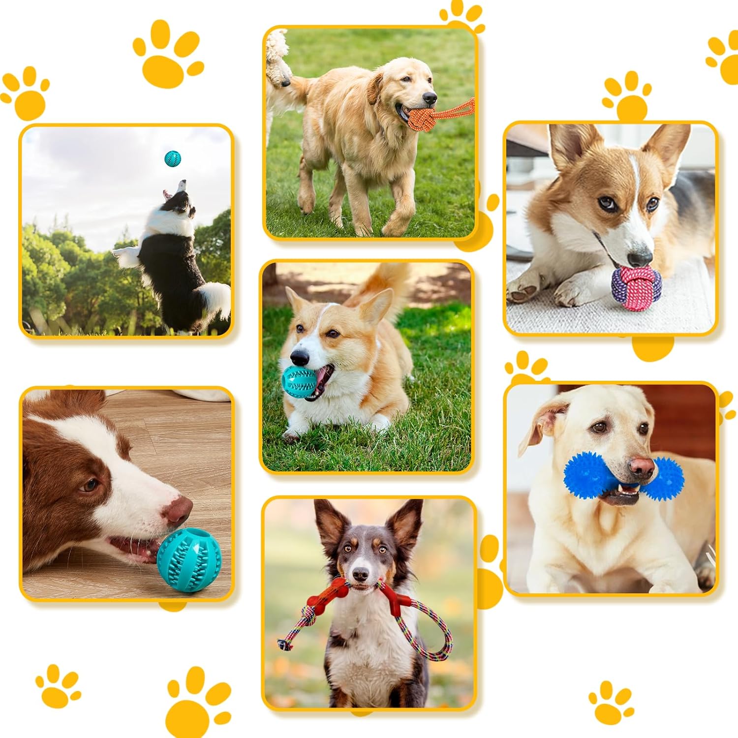 Leipple 20 Pack Luxury Dog Chew Toys for Puppy, | ObaPet