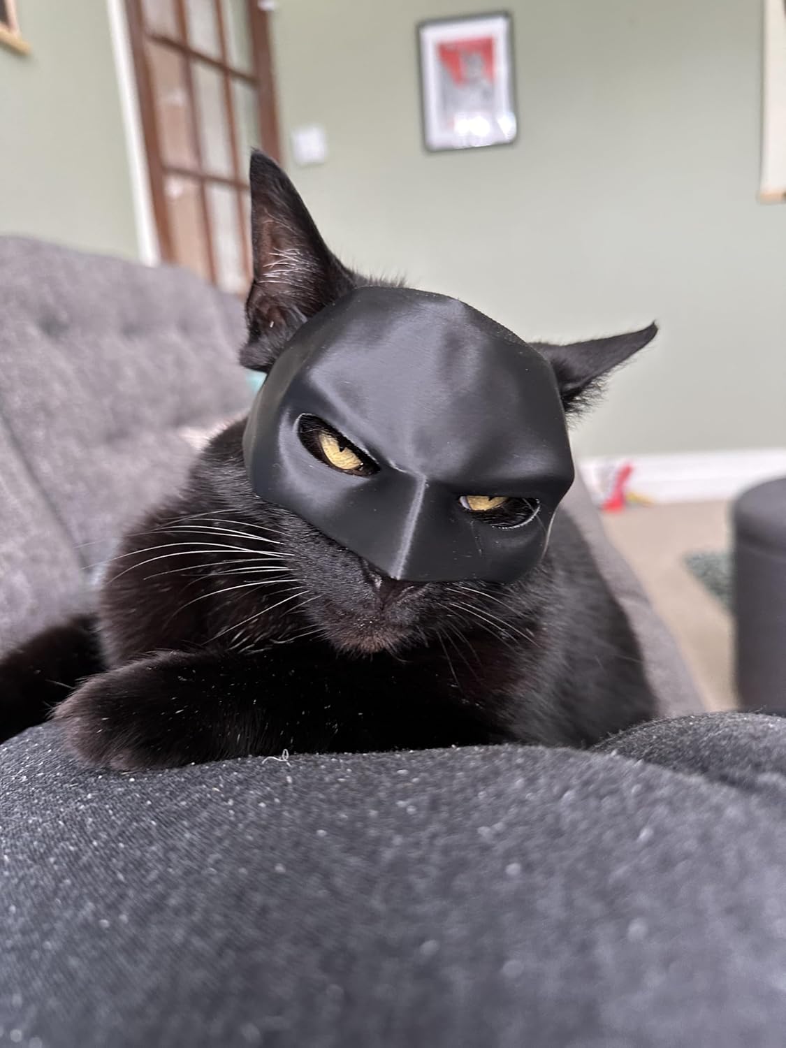 Cat Bat Mask for Adult Medium and Large Cats | ObaPet