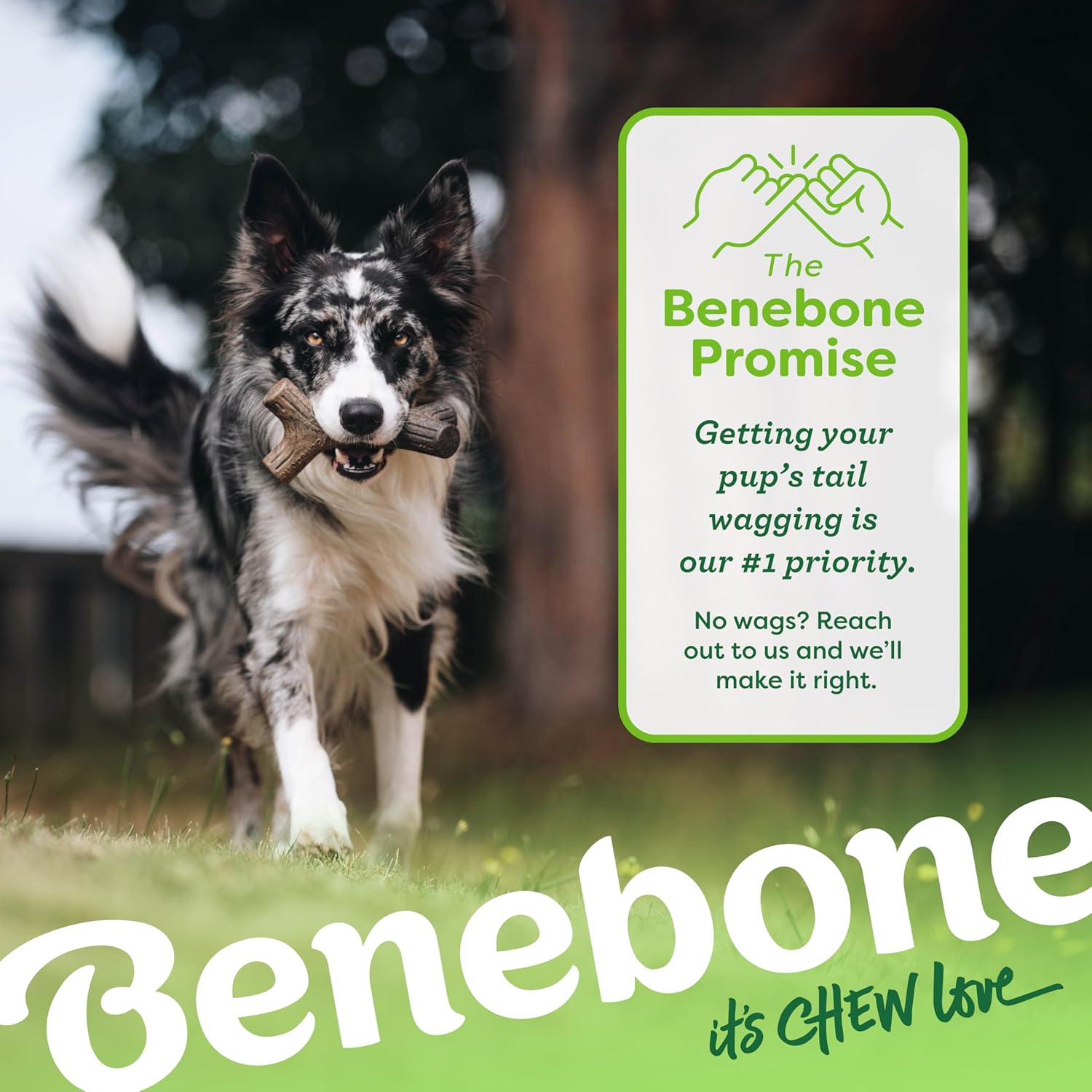 Benebone Durable Dog Chew Toy Box for Aggressive Chewers with Wishbone, Fishbone, Stick & Zaggler, Medium
