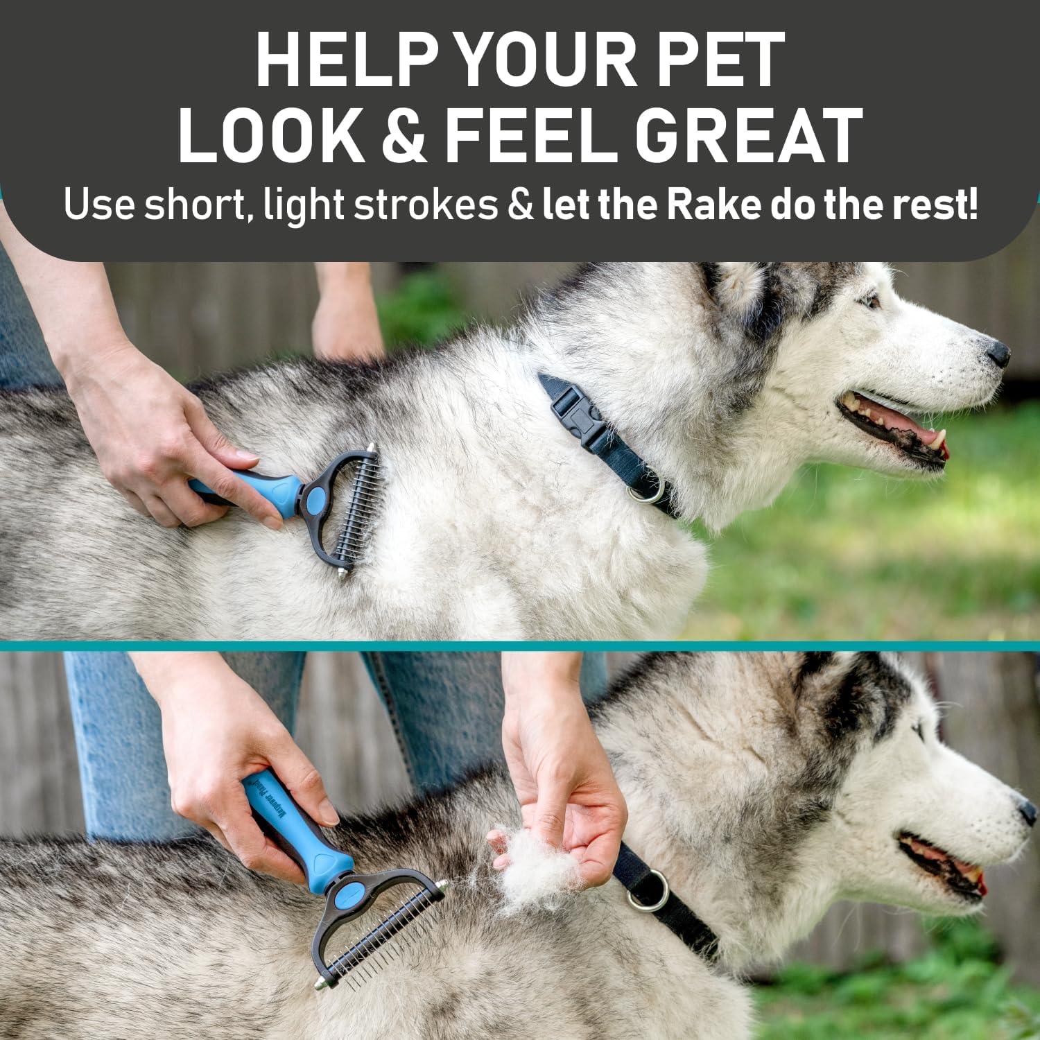 Maxpower Planet Dog Brush | ObaPet