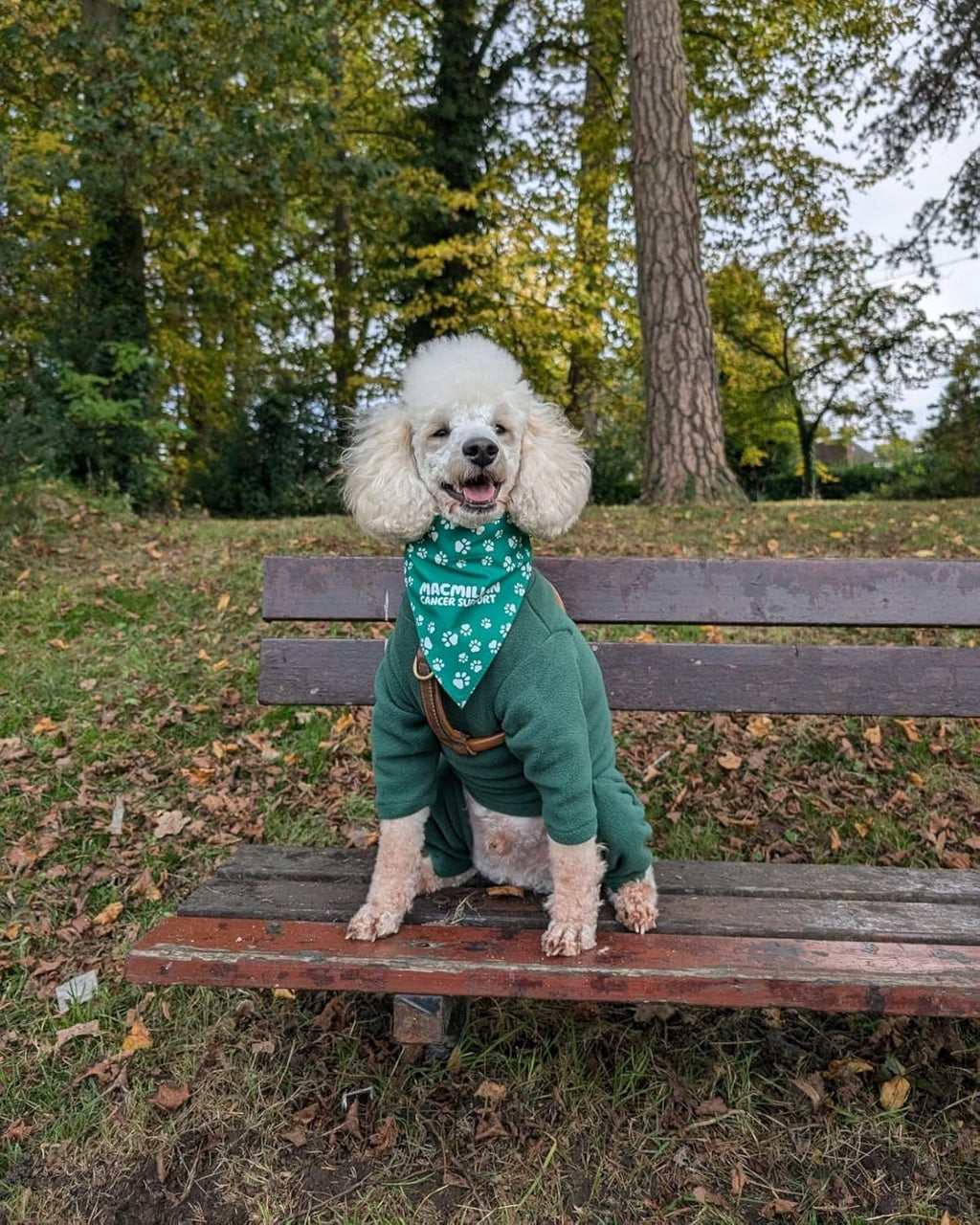 Warm Four-Legged Dog Fleece – Super Soft, Weather-Resistant (Coral, Medium)
