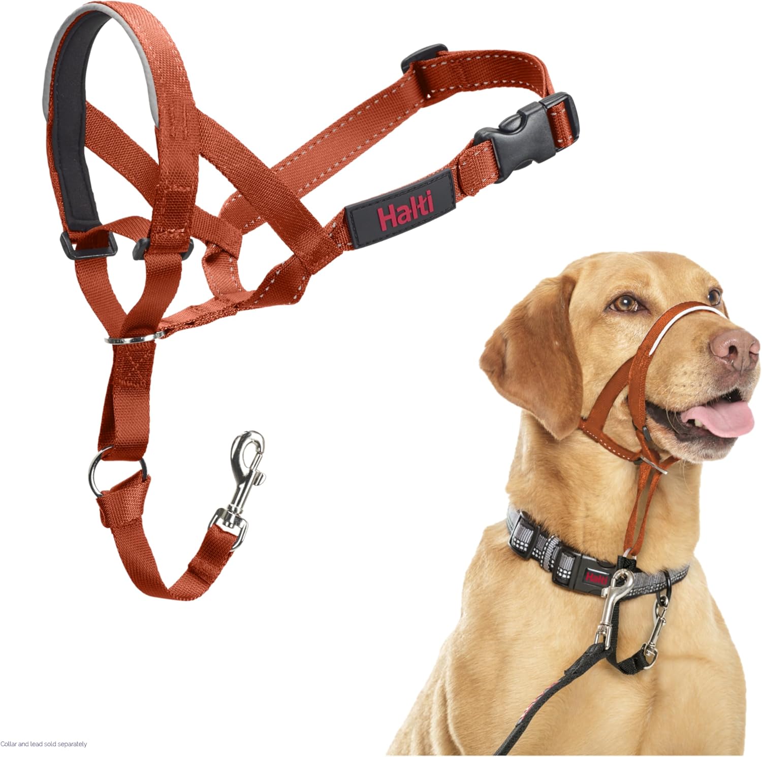 HALTI Headcollar, UK Bestselling Harness to Stop | ObaPet
