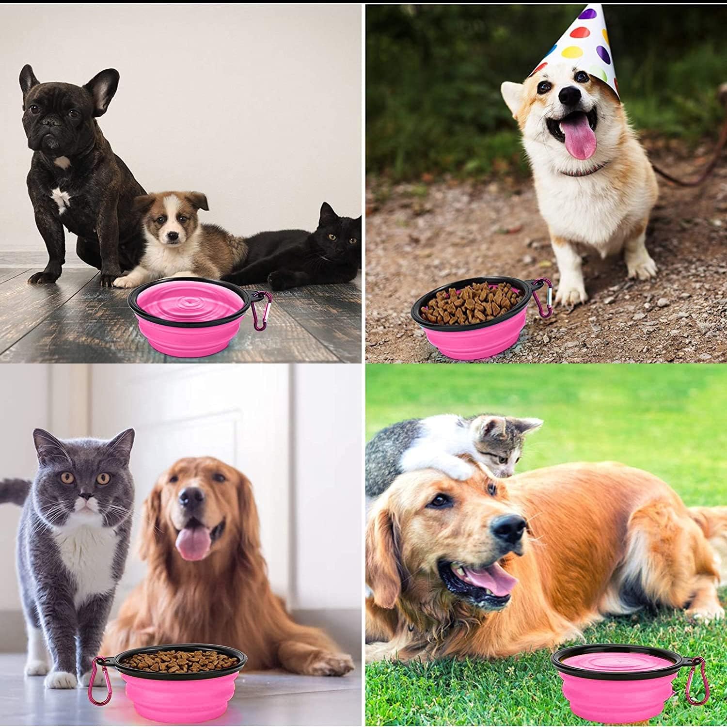 Collapsible Dog Bowl,Collapsible Dog Water Bowls | ObaPet
