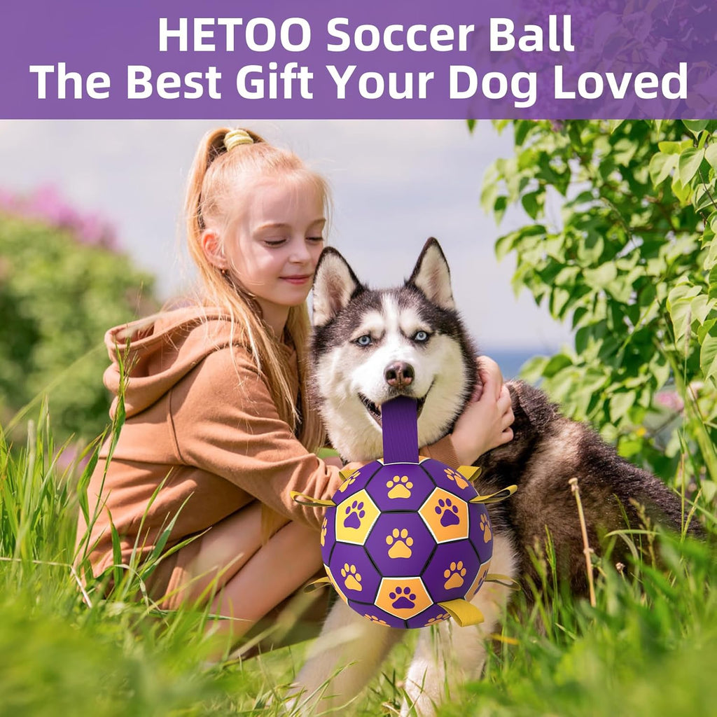 HETOO Interactive Dog Football Toys with Grab Tabs, Durable Dog Water Balls for Small Medium Breed, Indoor & Outdoor