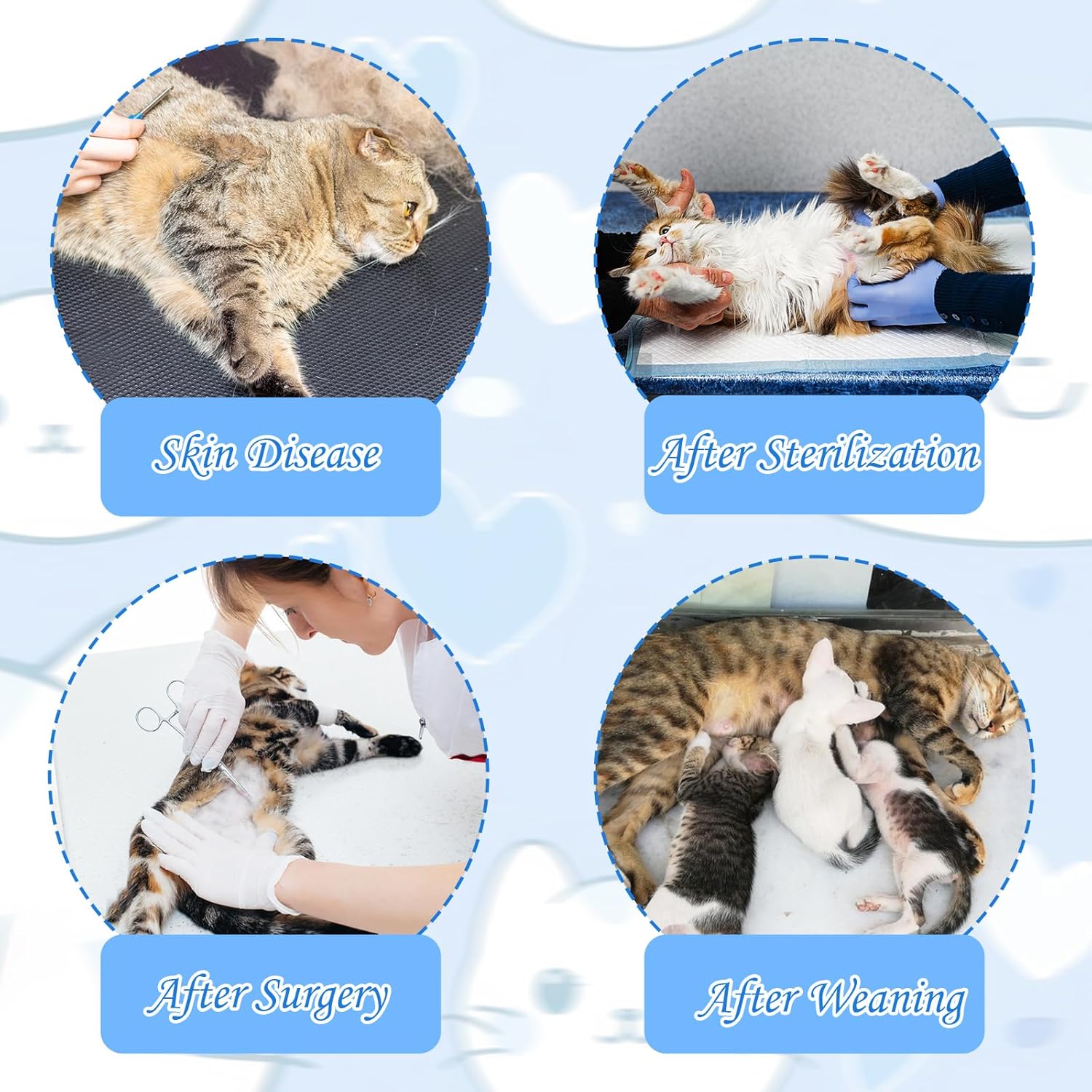 2PCS Cat Professional Recovery Suit, | ObaPet
