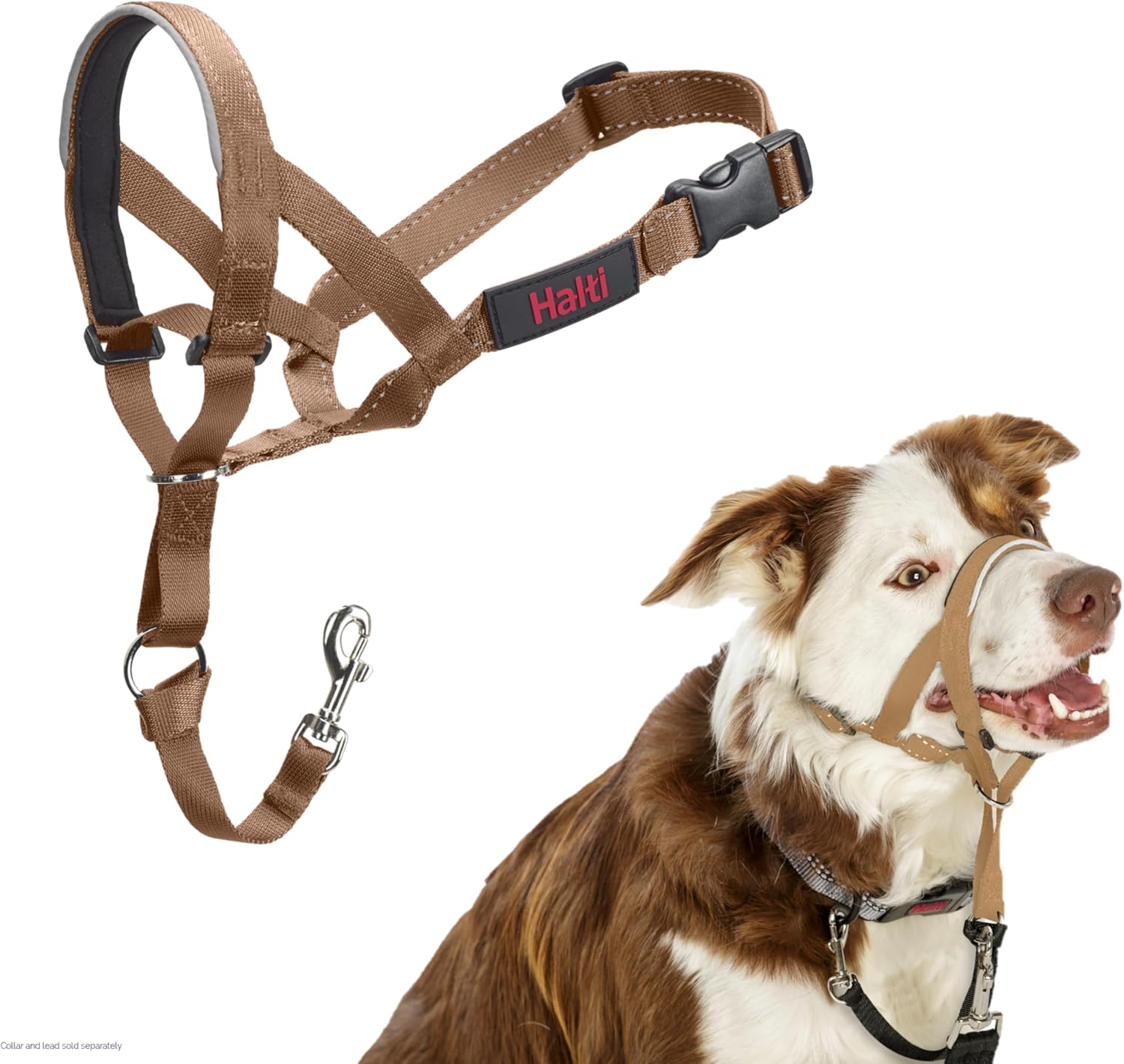 HALTI Headcollar, UK Bestselling Harness to Stop | ObaPet