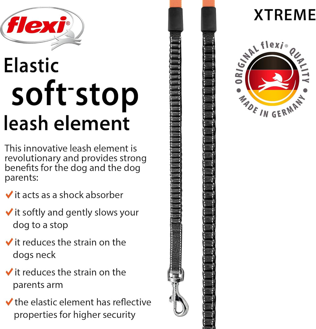 Flexi New Classic Tape Blue Large 8m Retractable | ObaPet