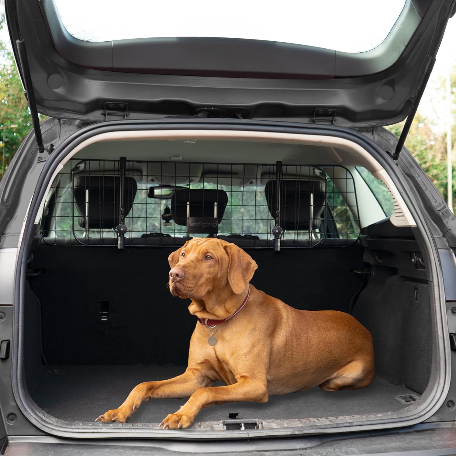 Sakura Headrest Dog Guard For Cars SS5259 - Easy Fit For Most Vehicles Hatchbacks SUVs Estates MPVs – Width Adjustable No Tools Needed, Black,93 x 33 x 6 cm