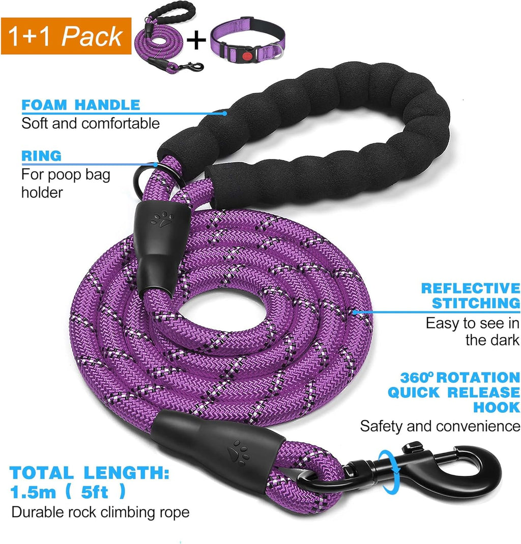 haapaw Reflective Dog Collar Padded with Soft | ObaPet