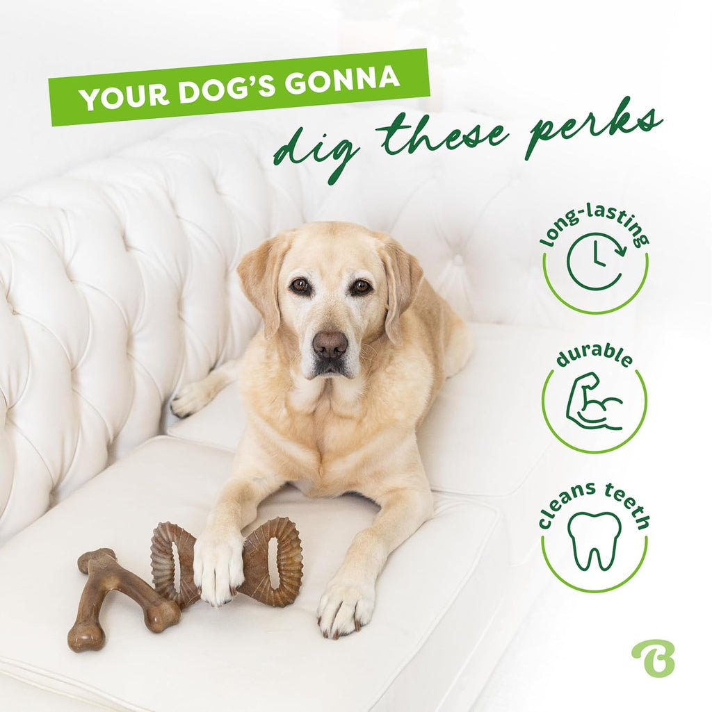 Benebone Durable Dog Chew Toy Box for Aggressive Chewers with Wishbone, Fishbone, Stick & Zaggler, Medium