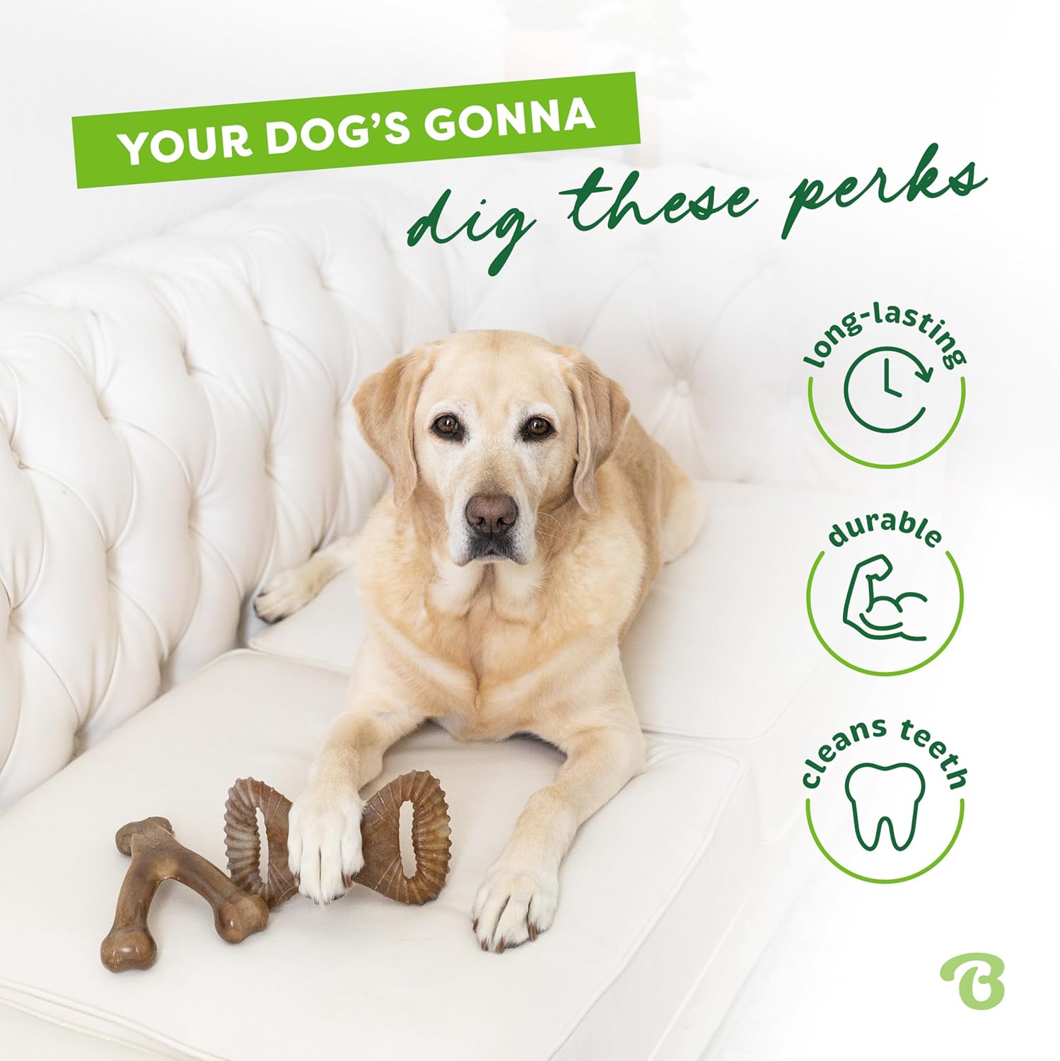 Benebone Durable Dog Chew Toy Box for Aggressive Chewers with Wishbone, Fishbone, Stick & Zaggler, Medium