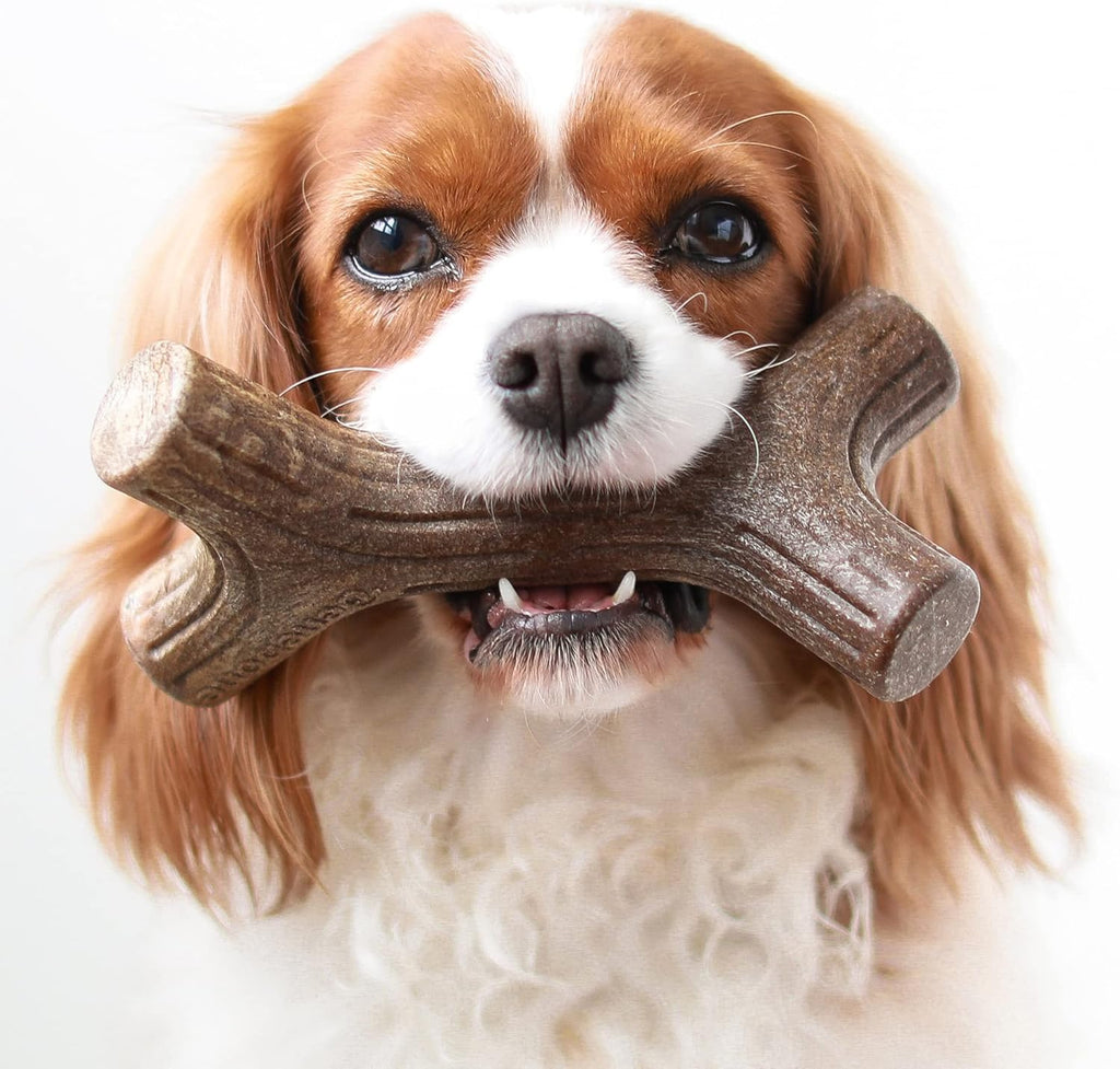 Benebone Durable Dog Chew Toy Box for Aggressive Chewers with Wishbone, Fishbone, Stick & Zaggler, Medium