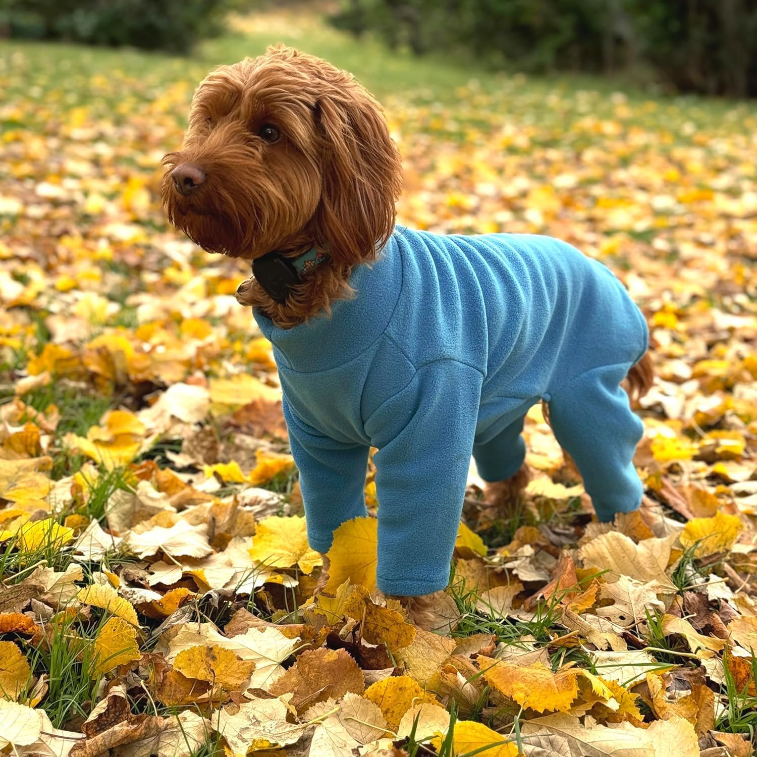 Warm Four-Legged Dog Fleece – Super Soft, Weather-Resistant (Coral, Medium)