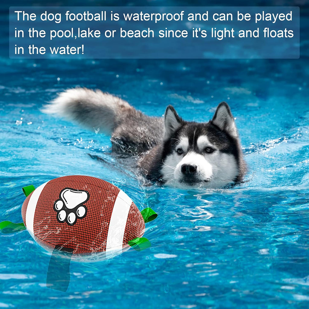 HETOO Interactive Dog Football Toys with Grab Tabs, Durable Dog Water Balls for Small Medium Breed, Indoor & Outdoor