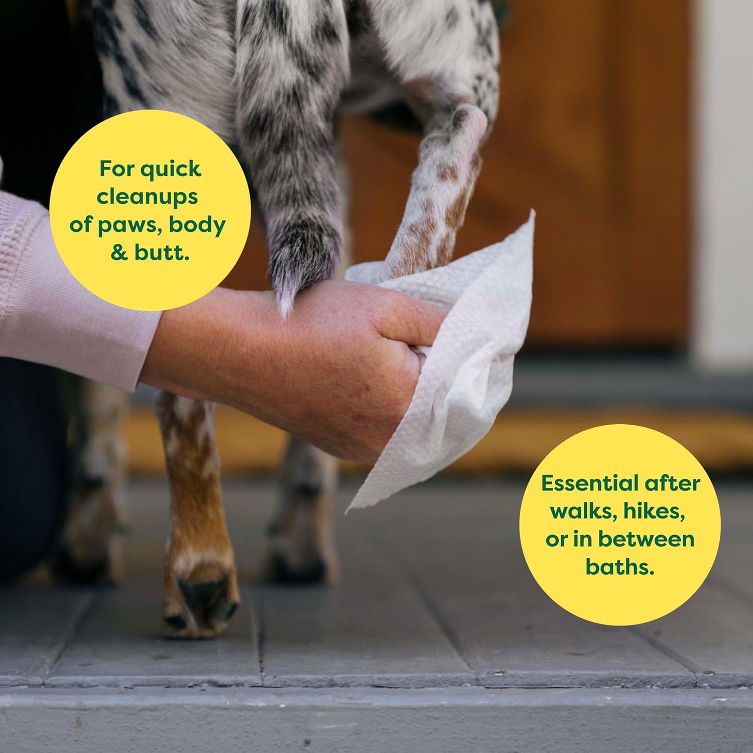 Earth Rated Hypoallergenic Dog Wipes, Cleaning | ObaPet