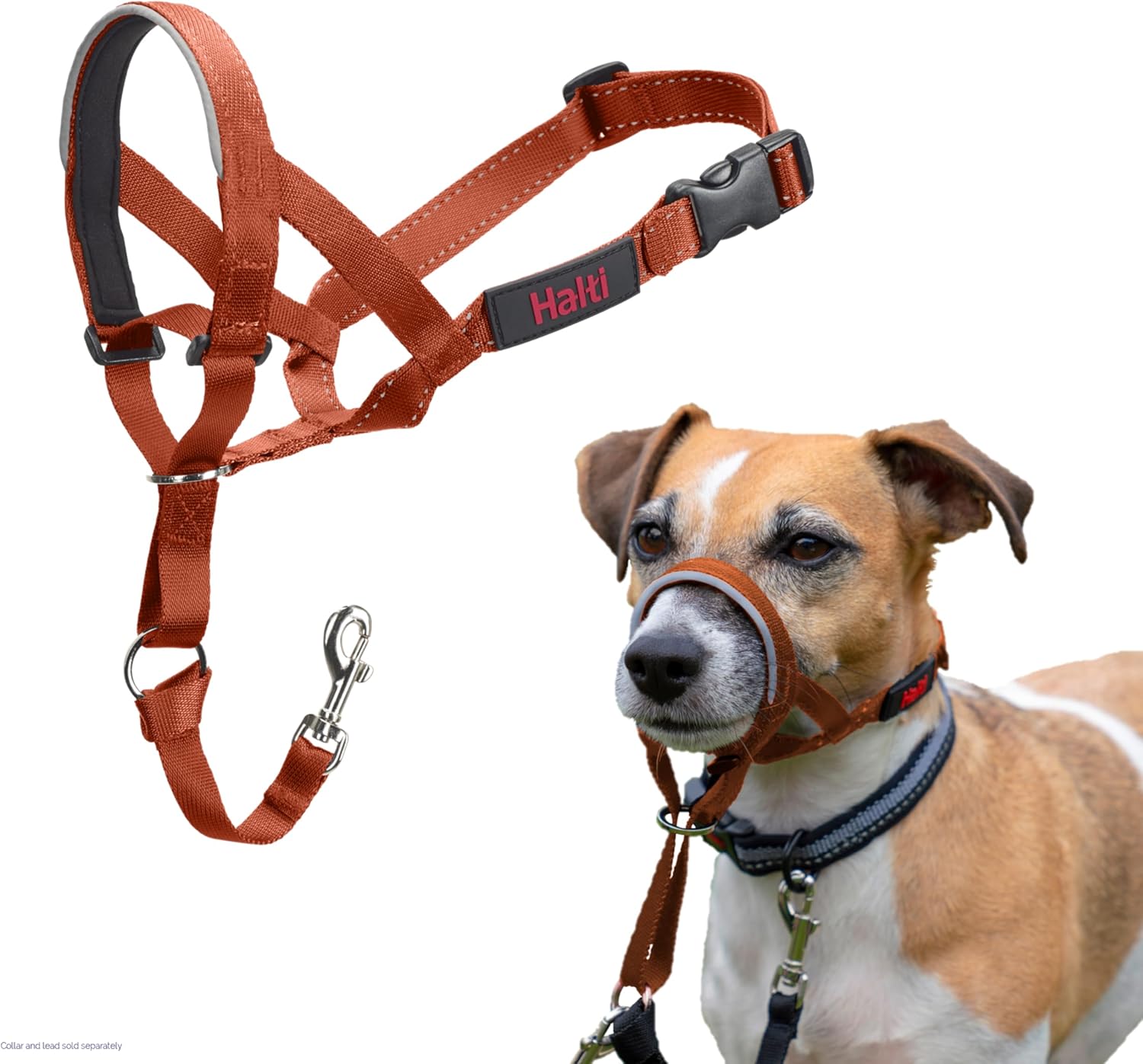 HALTI Headcollar, UK Bestselling Harness to Stop | ObaPet