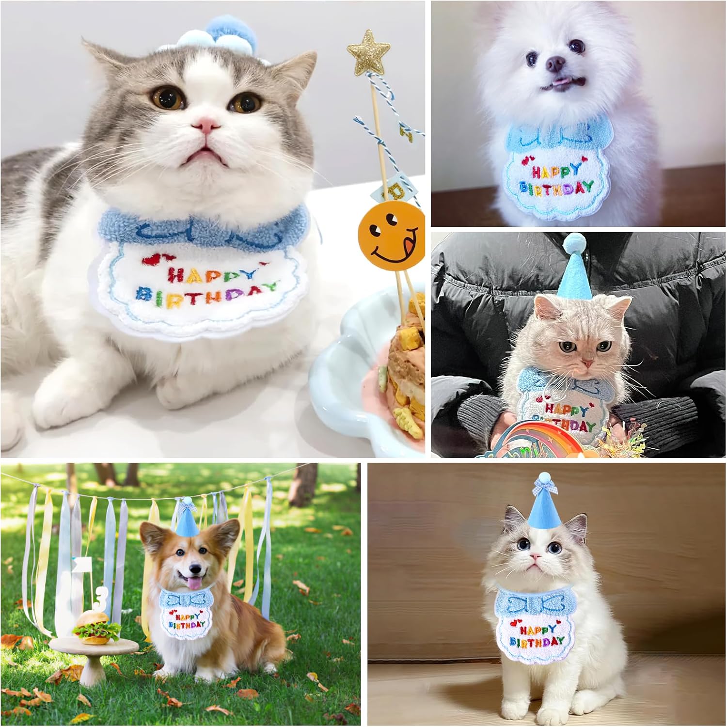 Small Dog Cat Birthday Hat Scarf Set,Cute Cat | ObaPet