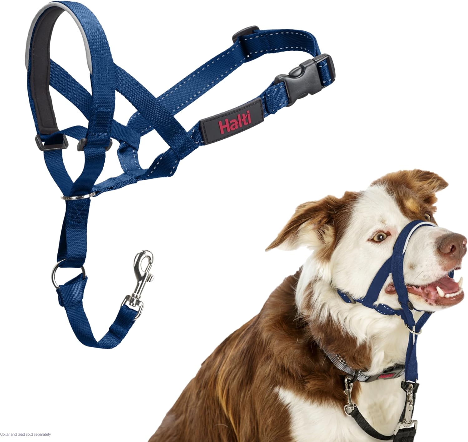HALTI Headcollar, UK Bestselling Harness to Stop | ObaPet
