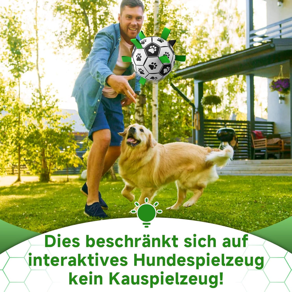 HETOO Interactive Dog Football Toys with Grab Tabs, Durable Dog Water Balls for Small Medium Breed, Indoor & Outdoor