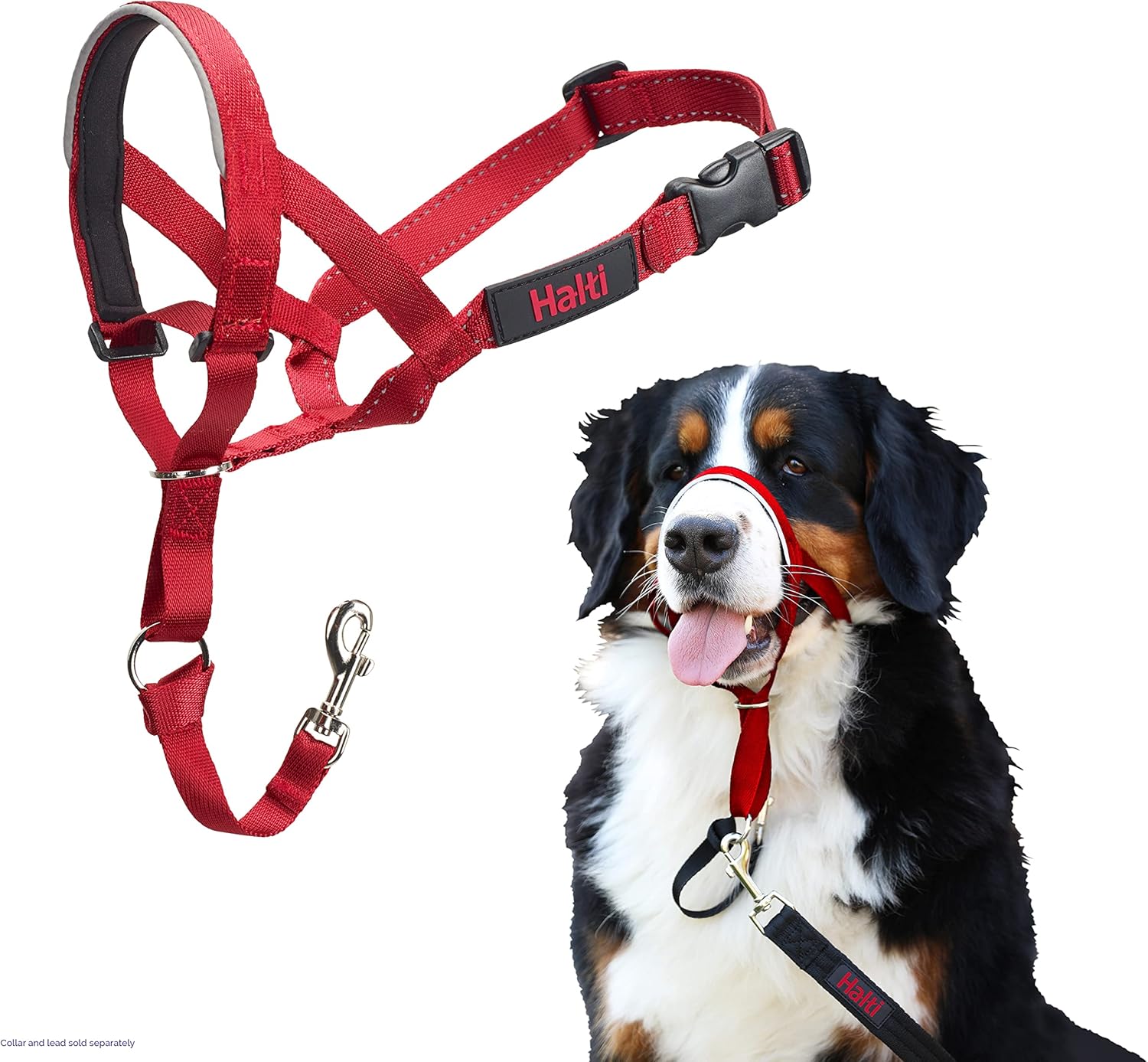 HALTI Headcollar, UK Bestselling Harness to Stop | ObaPet