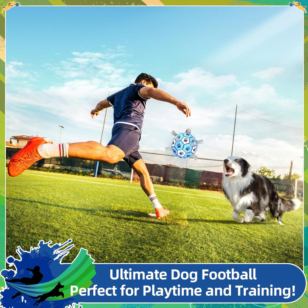 HETOO Interactive Dog Football Toys with Grab Tabs, Durable Dog Water Balls for Small Medium Breed, Indoor & Outdoor
