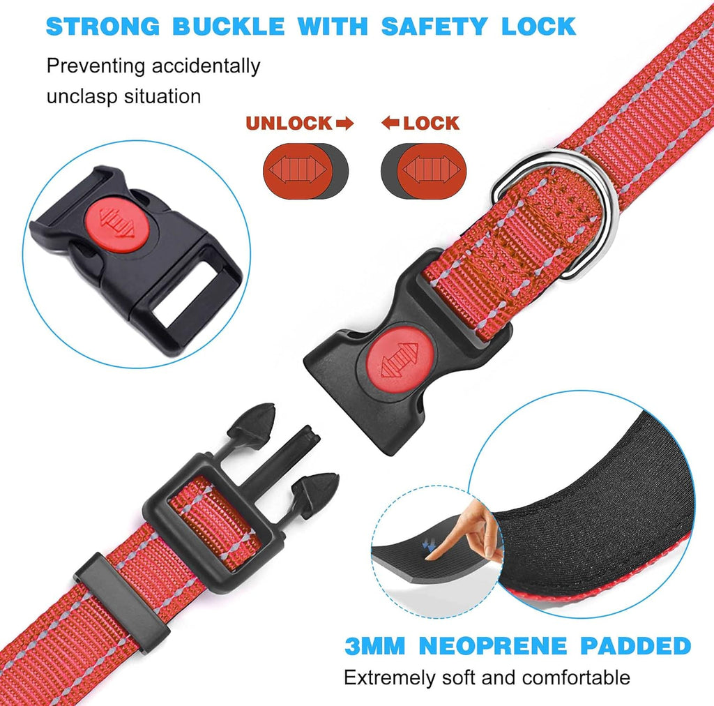haapaw Reflective Dog Collar Padded with Soft | ObaPet
