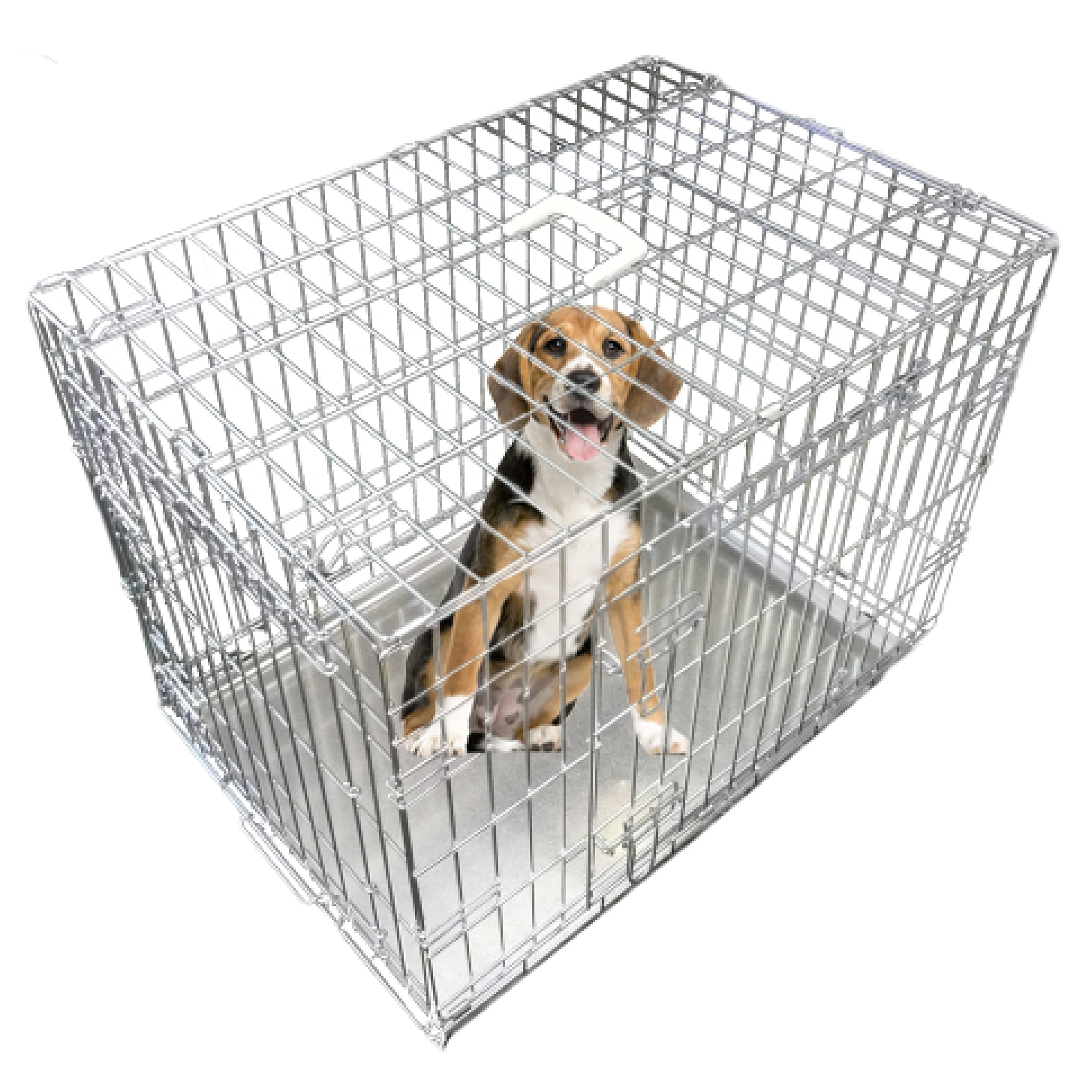 Ellie-Bo Standard Folding 2-Door Dog Cage/Crate | ObaPet