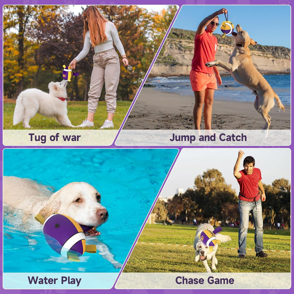 HETOO Interactive Dog Football Toys with Grab Tabs, Durable Dog Water Balls for Small Medium Breed, Indoor & Outdoor