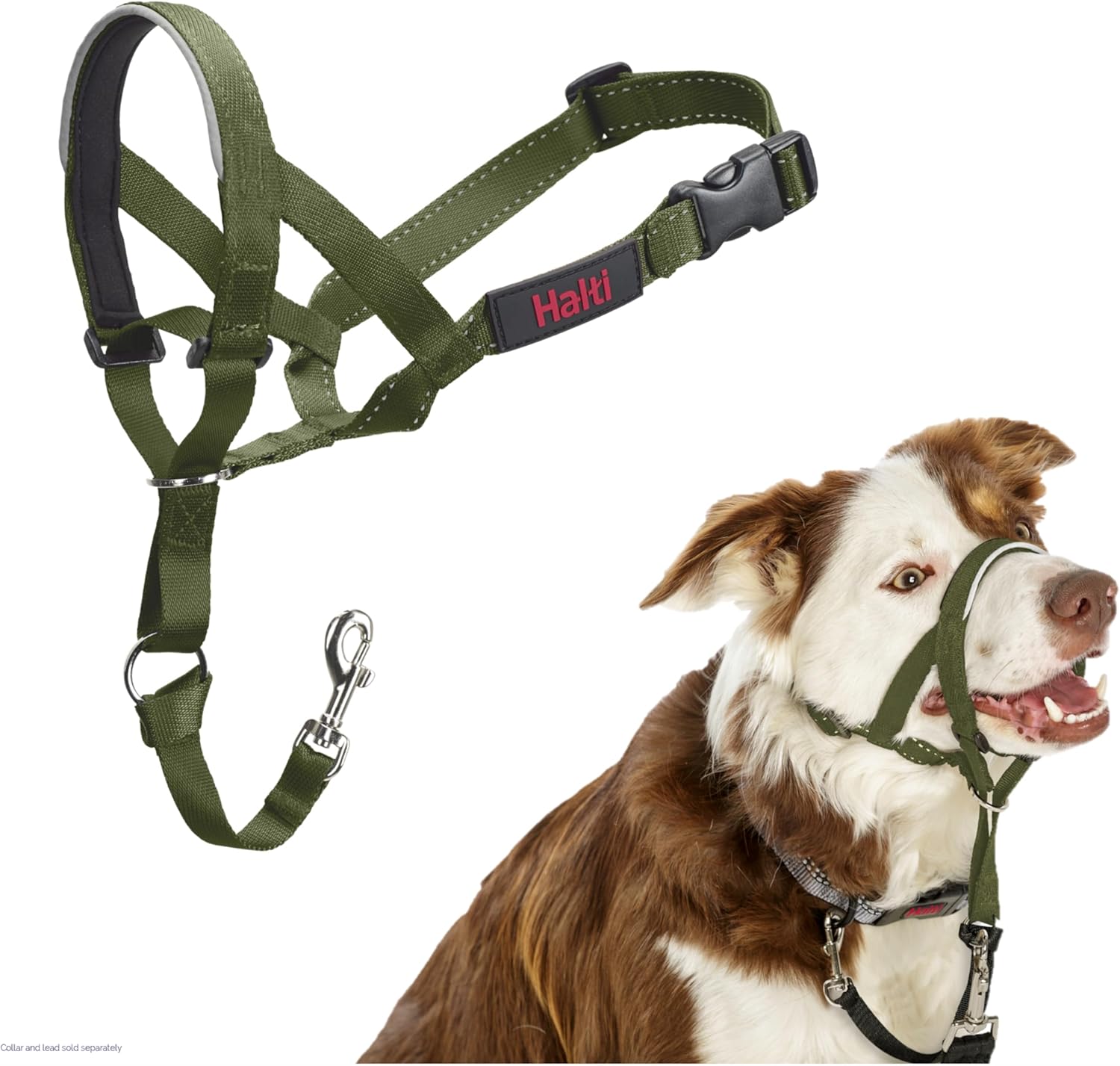 HALTI Headcollar, UK Bestselling Harness to Stop | ObaPet