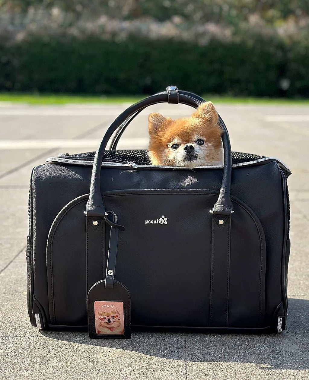 pecute® Cat Carrier, Elegant PU Material Cat | ObaPet