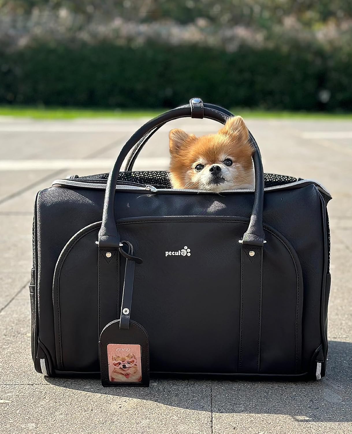 pecute® Cat Carrier, Elegant PU Material Cat | ObaPet