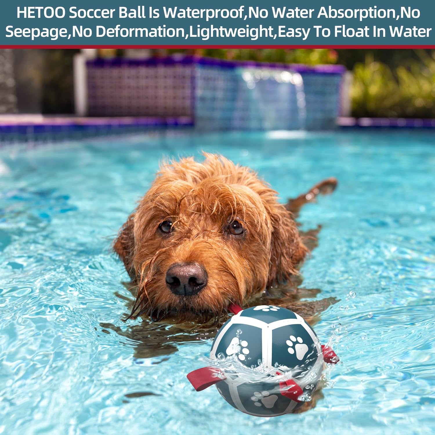 HETOO Interactive Dog Football Toys with Grab Tabs, Durable Dog Water Balls for Small Medium Breed, Indoor & Outdoor