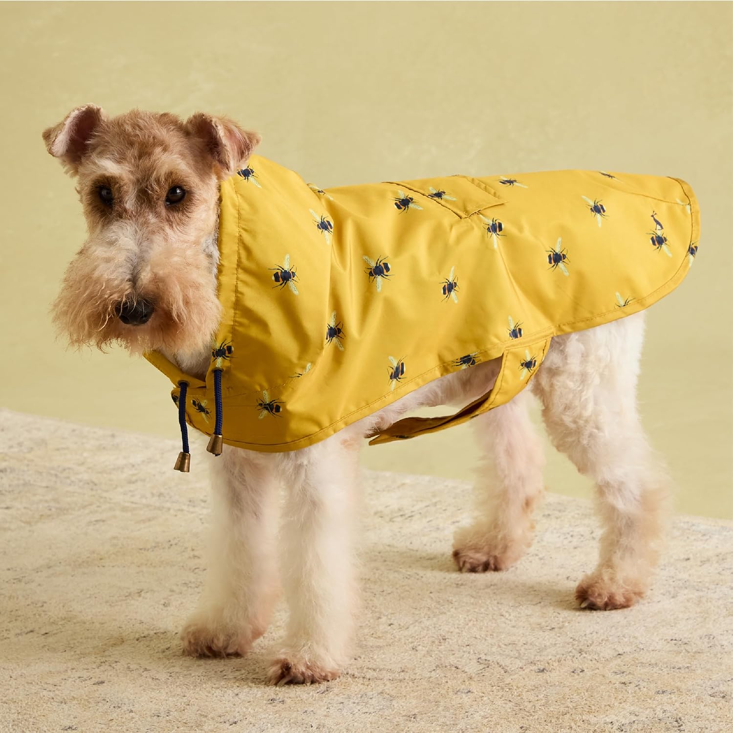 Rosewood Joules Go Lightly Packaway Jacket For Dogs, Small